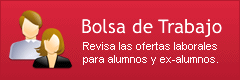 Bolsa de Trabajo