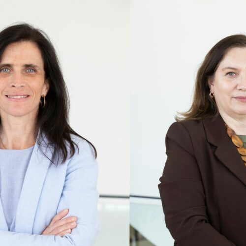 Investigadoras CECA en Diario Constitucional: Sobre el uso de los bots