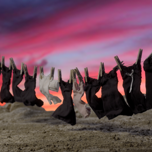 Cortometraje de animación Reinas de la Pampa Cine UDD