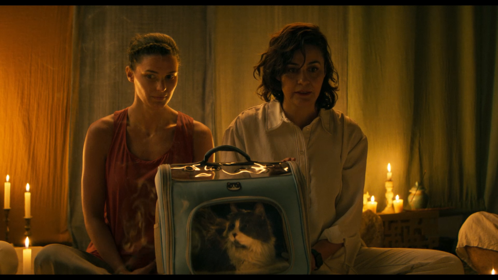 still animales andrés waissbluth